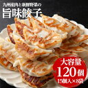 【三桃旨味餃子120個】【大容量餃子】15個× 8袋 小分け 冷凍庫 餃子 ぎょうざ ギョウザ 生餃子 ひとくちサイズ 国産 キャベツ 弁当 おかず 冷凍食品 中華惣菜 ビール おつまみ お取り寄せ 送料無料
