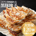 【黒豚餃子120個】【大容量餃子】15個入× 8袋 小分け 鹿児島 黒豚 冷凍庫 餃子 ぎょうざ ギョウザ 生餃子 ひとくちサイズ 大容量 国産 キャベツ おかず 冷凍食品 中華総菜 ビール おつまみ お取り寄せ 送料無料
