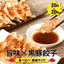 【九州工場から直送】 食べ比べ 40個セット 旨味餃子 