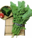 葉ダイコン種【 健康 】松永種苗
