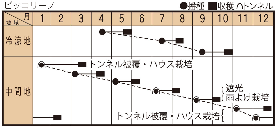 �ϥĥ����������ڡ��ԥå��꡼�Ρ��ۡʺ����� ��� �ȥ������ġ�