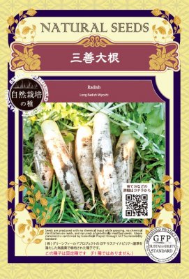 【楽しみ方】 播種適期： 8月下旬〜9月 樹勢が大変強い、短根で寸胴型の育てやすい大根です。 肉質は緻密で煮崩れしにくく甘みがありふろふき大根に最適です。 この種は自然栽培された固定種ですので無施肥での栽培に比較的適性を持っています。 （圃場の土室や栽培条件によって異なります） 国産の固定種です。 【商品情報】 　商品名／三善大根　【自然栽培の種】 　内容量／10.0g　 (粒数目安　約680粒) 　補足／この種子は固定種です。この種子はF1種ではありません。 ★ご注意★ ・この種子を食用・飼料用に使用しないで下さい。 ・お子様の手の届かない所に保管下さい。 ・直射日光・湿気を避け、涼しい所で保管下さい。 ・種子は本質上100%の純度は望めません。 ・播種後の栽培条件・天候等で結果が異なります。 　結果不良と認められる場合でも、損害の補償は種子代金の範囲内とさせて頂きます。 ・独自に加工された場合は責任を負いかねますので予めご了承下さい。
