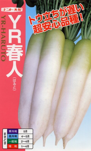 Rakuten - 〈20ml・2dl〉ダイコン種【　YR春人　】ナント種苗