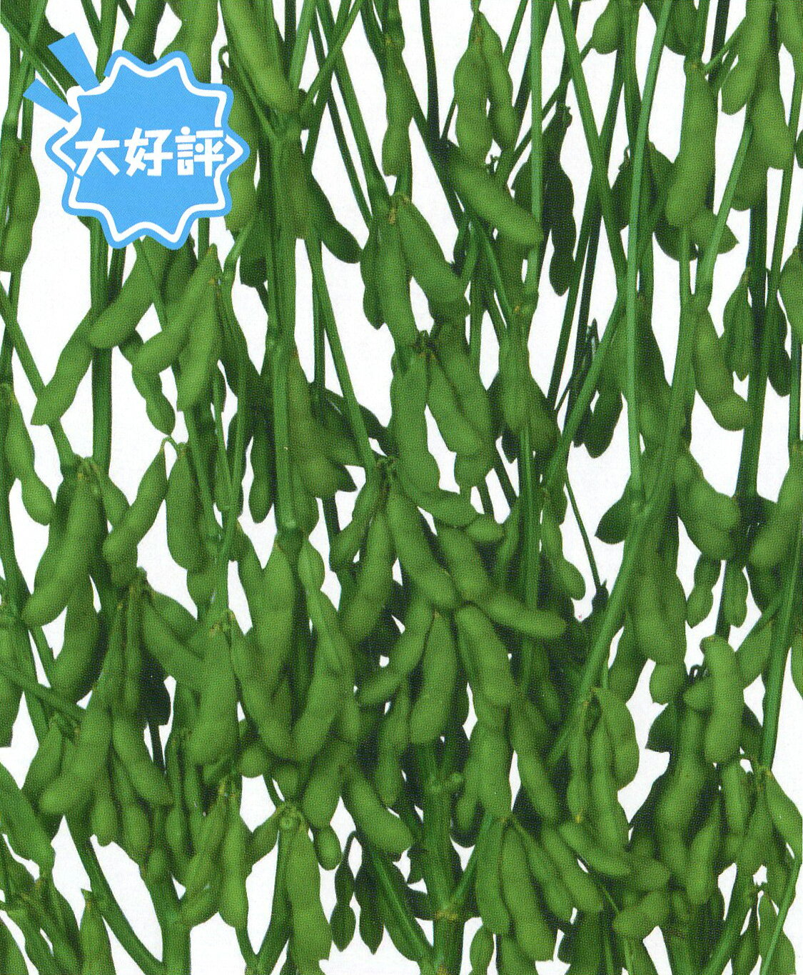 ߤĤΤ  Flower Trail㤨֥ޥڡļפβǤʤ275ߤˤʤޤ