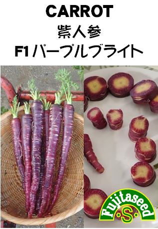 メーカー：藤田種子 【栽培方法】 一般種の人参と同様に栽培します。 発芽するまでは水を切らさないように注意します。 葉が混み合ってきたら随時間引きし、本葉が4〜6枚頃、株間約10〜15cmにします。 青虫などに注意してください。 【利用方法】 長さ約17〜20cm。外皮は明るい紫色、中は黄色でスライスした時の色合いがとても美しい人参です。彩りをいかしてサラダや付け合せ、ピクルスなどに利用します。 【まき時期（一般地域）】3月〜4月・7月〜8月 【発芽難易度】中級者向 【容量】0.5mL 【種子有効期限につきまして】 この種子は毎年6月、12月に有効期限の切り替えがございます。 有効期限は証票切り替え月より1年間となっております。予めご了承ください。