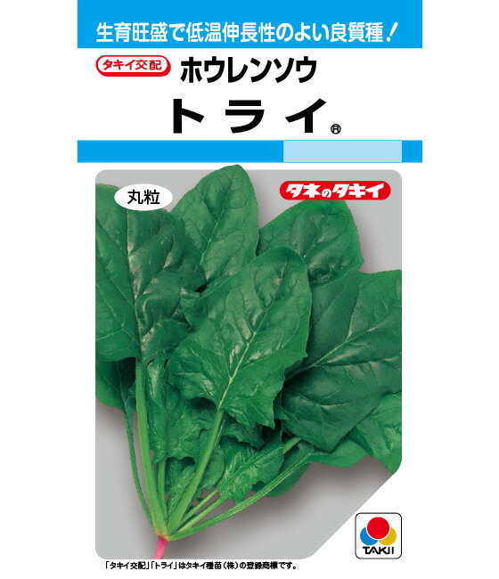 〈MF小袋・1dL・1L〉ホウレンソウ種【　トライ　】タキイ種苗