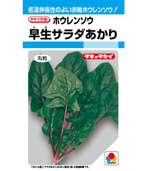〈MF小袋・1dL・1L〉ホウレンソウ種【　早生サラダあかり　】タキイ種苗