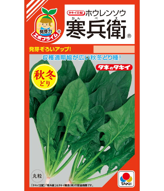 Rakuten - 〈RF小袋・M3万粒・L3万粒〉ホウレンソウ種【　寒兵衛（エボプライム種子）　】タキイ種苗