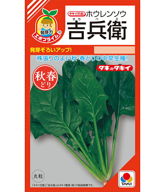 〈RF小袋・M3万粒・L3万粒〉ホウレンソウ種【　吉兵衛　】タキイ種苗