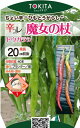 ※4月中旬以降入荷後発送トウガラシ種【 魔女の杖 】小袋 (栽培用 種子 トキタ種苗)