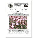 有機種子【 サポナリア・バッカリア/道灌草 】小袋 (栽培用 種子 )