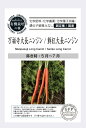 有機種子【 万福寺大長ニンジン/鮮紅大長ニンジン 】小袋 (栽培用 種子 有機栽培の種・固定種・国産 )