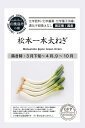 有機種子【 松本一本太ねぎ 】小袋 (栽培用 種子 有機栽培の種・固定種・国産 )
