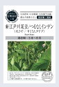 有機種子【 新江戸川菜豆(さいとう)/つるなしインゲン(丸さや/すじなしタイプ) 】小袋 (栽培用 種子 有機栽培の種・固定種・国産 )