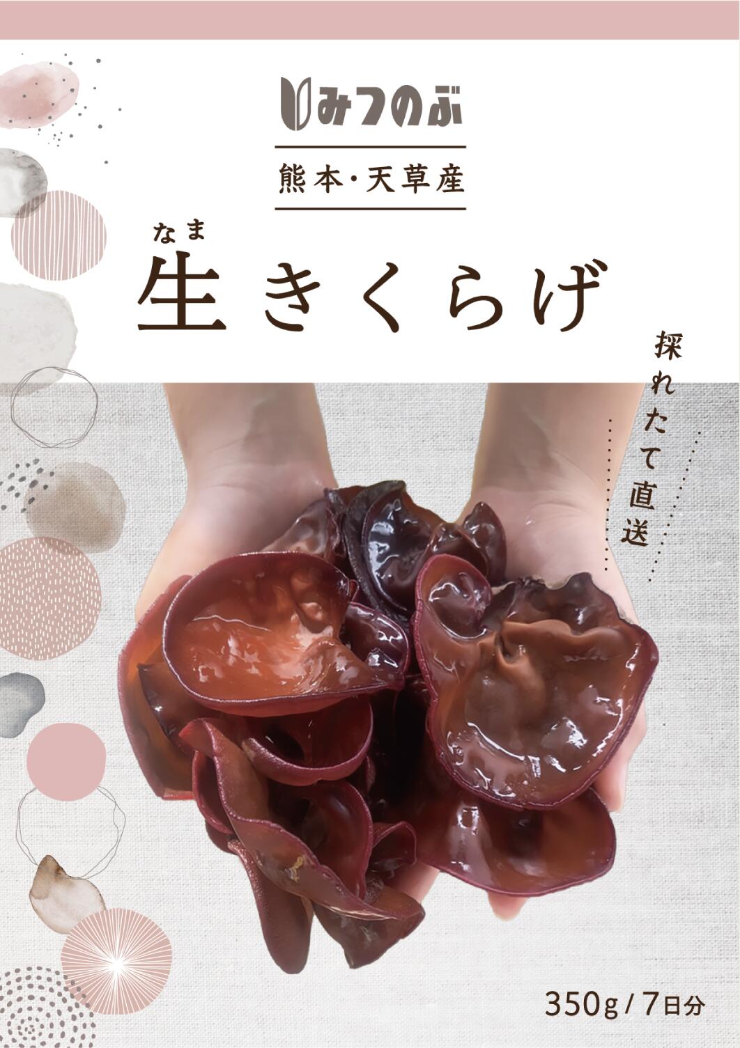＼ 熊本県・天草産！／ 無農薬 生きくらげ 350g 7日分 採れたて産地直送 クール便...