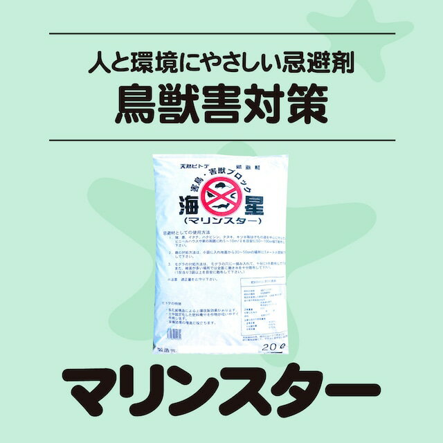 ＜商品詳細＞ 商品分類：ヒトデ乾燥品　甲殻類質特殊肥料 成 分：天然ヒトデ（100％） 用途：土壌改良 袋サイズ：400mm×600mm ＜有効範囲＞ 各動物及び現場により異なります。 商品取扱方法欄を参照してください。 　 ＜有効期間＞ 2～4ヶ月 ※季節や環境によって異なります。 ※開封後はお早めにご使用下さい。