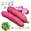 サツマイモ苗 【 パープルスイートロード 】(切り苗)※6月2日~7日発送 740円