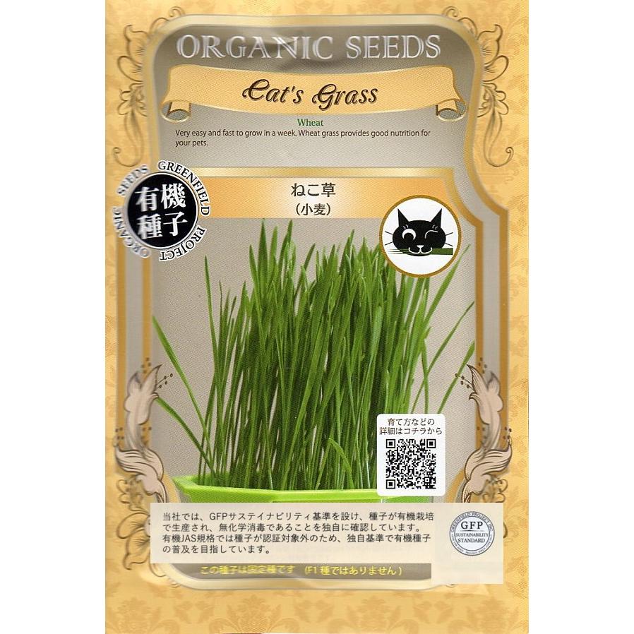 有機種子【　ねこ草/小麦　】1dL （栽培用 種子 牧草 ペット用）