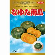 カボチャ種【　なゆた南瓜　】 （栽培用 種子 神田）のサムネイル