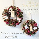 【送料無料】クリスマスリース 【 FOREST NATURAL 】 選べる2つのサイズクリスマスリース ギフト プレゼント