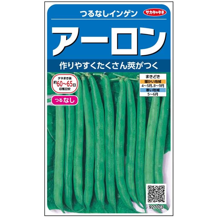 樂天商城 - ※新種2026年1月中旬以降入荷予定　インゲン種【　アーロン　】サカタのタネ