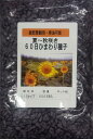 緑肥景観用ひまわり種【 60日ひまわり(夏~秋咲きひまわり) 】6000粒(約500g)(緑肥 景観用 搾油用 F1品種 牧草種子 向日葵 ヒマワリ 宝)