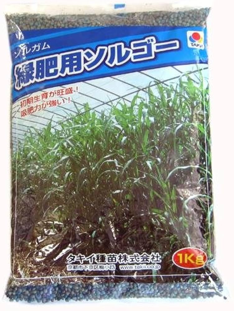 〈1kg・20kg・22.5kg〉※5月下旬以降発送予定　ソルガム種【　緑肥用ソルゴー　】タキイ種苗