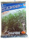 〈1kg・20kg・22.5kg〉ソルガム種【 緑肥用ソルゴー 】タキイ種苗