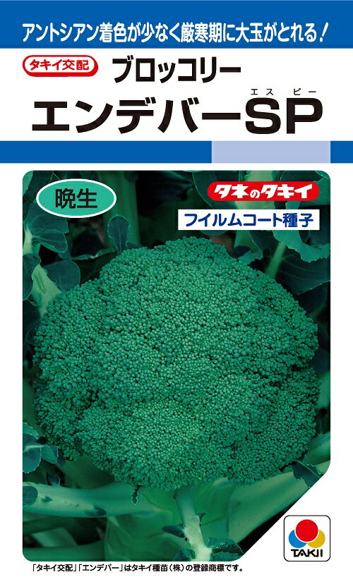 〈DF小袋・2000粒・L5千粒〉ブロッコリー種DF小袋 （ タキイ）