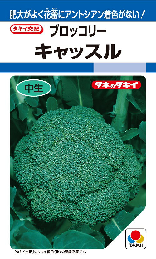 〈DF小袋・20ml・L5千粒〉ブロッコリー種タキイ種苗