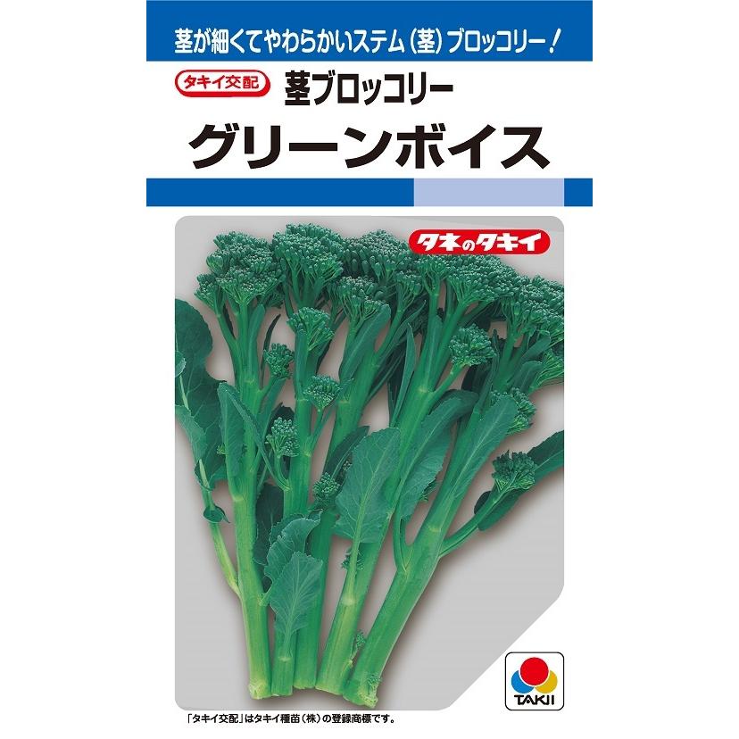 〈DF小袋・10ml〉茎ブロッコリー種タキイ種苗