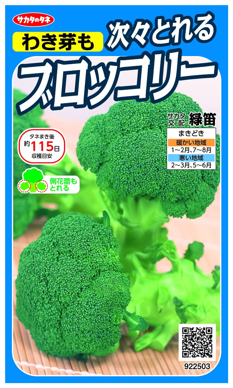 樂天商城 - ブロッコリー種【　次々とれるブロッコリー　緑笛　】サカタ