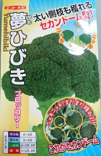 〈小袋・20ml・コート5000粒〉ブロッコリー種【 夢ひびき 】ナント種苗