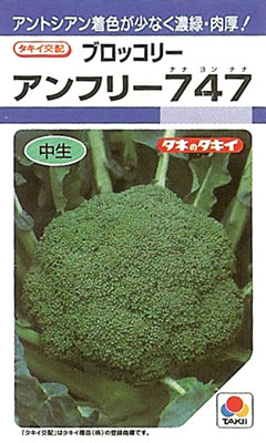アントシアンフリーの良質花蕾！濃緑・肉厚の中生種！ 中生　70日型 メーカー：タキイ種苗株式会社/タキイ交配 【特徴】 ○花蕾は濃緑で、アントシアンの発生が少ない。 ○花蕾は肉厚ドーム型。茎太でボリュームがある ○奇形花蕾や形状の乱れ、空洞茎の発生が少ない。■まき時と収穫期