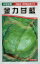 〈小袋・10ml・20ml〉キャベツ種【　金力甘藍　】大和農園