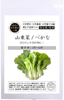 ※ 2023年品切れ ※ 有機種子【　山東菜 / べかな　】小袋 （栽培用 種子 固定種）のサムネイル