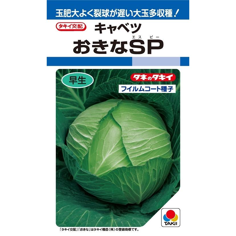 〈DF小袋・2000粒・ペレットL5千粒〉キャベツ種【　おきなSP　】タキイ種苗