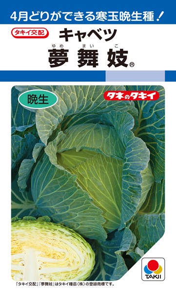 種生姜 熊本県産 無農薬生姜 1kg 送料無料 国産 生姜 しょうが ショウガ 生姜栽培 しょうが栽培 家庭菜園　種子 種用 たねしょうが 種しょうが 種生姜 たね生姜 生姜種 生姜の種 栽培 種芋 根生姜