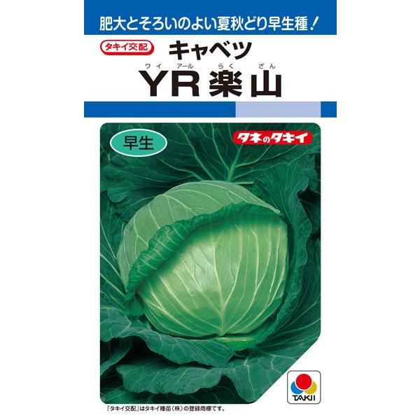 〈2000粒・L5千粒〉キャベツ種【　YR楽山　】タキイ種苗