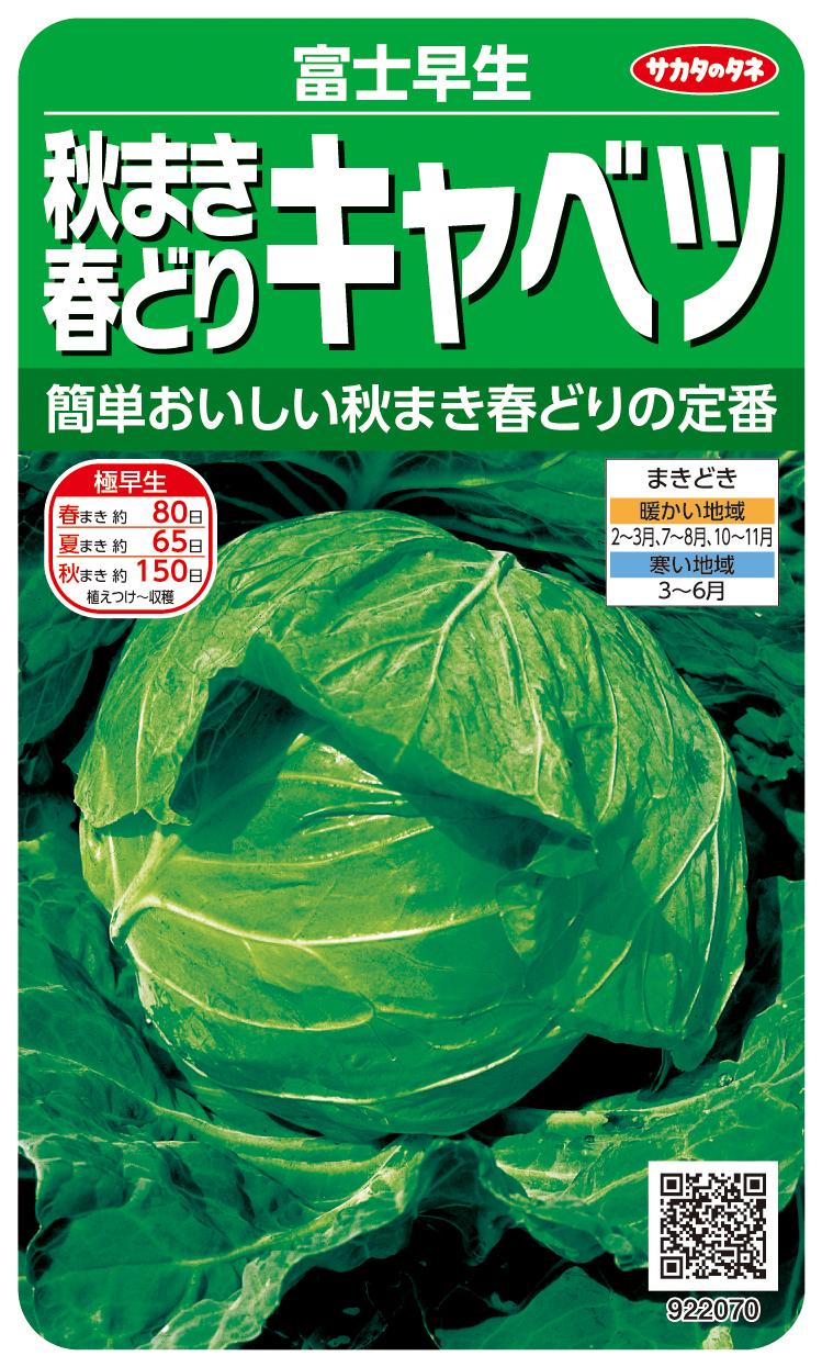 ※新種7月中旬以降入荷後発送予定キャベツ種【　富士早生　】サカタのタネ