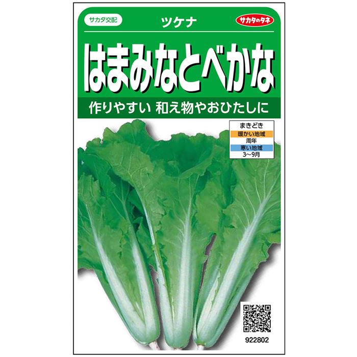 樂天商城 - ツケナ種【　はまみなとべかな　】サカタのタネ