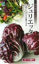※新種8月以降入荷トレビス種【 ジュリエッタ 】(栽培用 種子 丸種 )