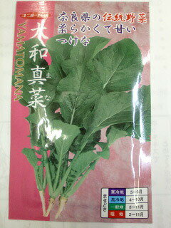ツケナ種【　大和真菜　】小袋 （栽培用 種子 つけな ナント）