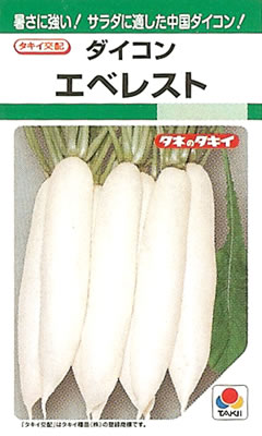 暑さに強く作りやすい！サラダに最適の中国ダイコン！ メーカー：タキイ種苗株式会社 【特性】 ○肉質は緻密で、水々しく、食味のよいやや小型の中国ダイコン。 ○葉も板葉でやわらかく、葉付きダイコンにも最適。 ○800g〜1kgを目安に、早めの収...