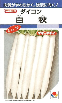 純白で肉質がやわらかい！青果・浅漬兼用種！ メーカー：タキイ種苗 【特性】 ○青果・浅漬兼用の、良質な白首ダイコン。 ○根部は先端まで肉付きがよく、肌は純白で美しい。 ○肉質は緻密で密植できる。■まき時と収穫期