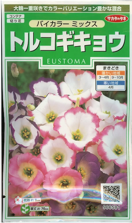 大輪一重咲きでカラーバリエーション豊かな混合 【特徴】 水揚げ、花もちがよく夏の切り花として人気がある花です。 豪華な大輪の一重咲きで、覆輪咲きや絞り咲きなどユニークな花色が魅力的です。 雨のあたらないところでのコンテナ植えに適します。■まき時と収穫期