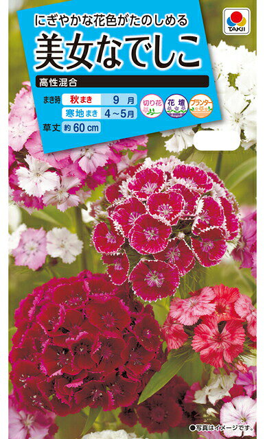 春に香る多彩な切花を・・・ 【まき時期】 秋まき：9月 春まき：4〜5月 【特徴】 花の香りが高く、切花はよくもつので愛好されています。 草丈50〜60cm。茎の頂天に一重咲きの小輪花を多数つけ、花色も豊富です。 寒さに強く、本来は宿根草です。■まき時と収穫期