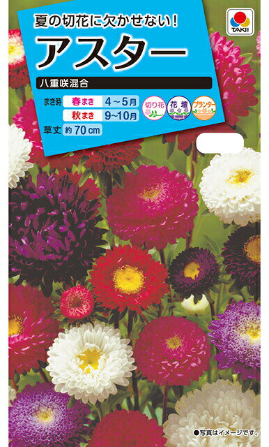 夏の切花に最適です！ 【まきどき】 春まき：4〜5月、秋まき：9〜10月 切花・花壇・プランター　 【特長】 お盆の切花に欠かせない花です。菊咲きやポンポン咲きを含む、 赤、桃、紫、白などの混合です。 多花性で、水あげ・花もちがよく、夏の切花に最適です。■まきどき
