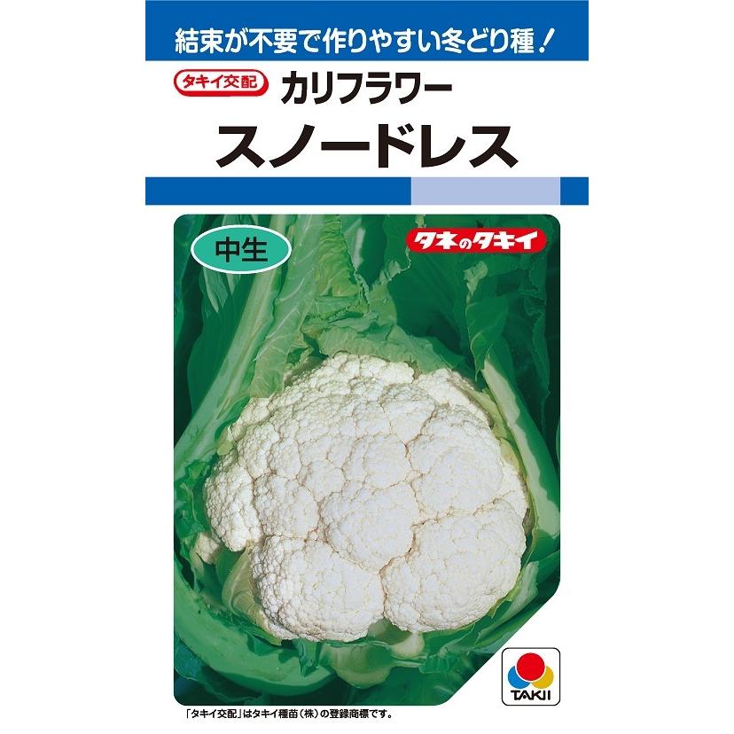 〈DF小袋・20ml〉カリフラワー種【　スノードレス　】タキイ種苗