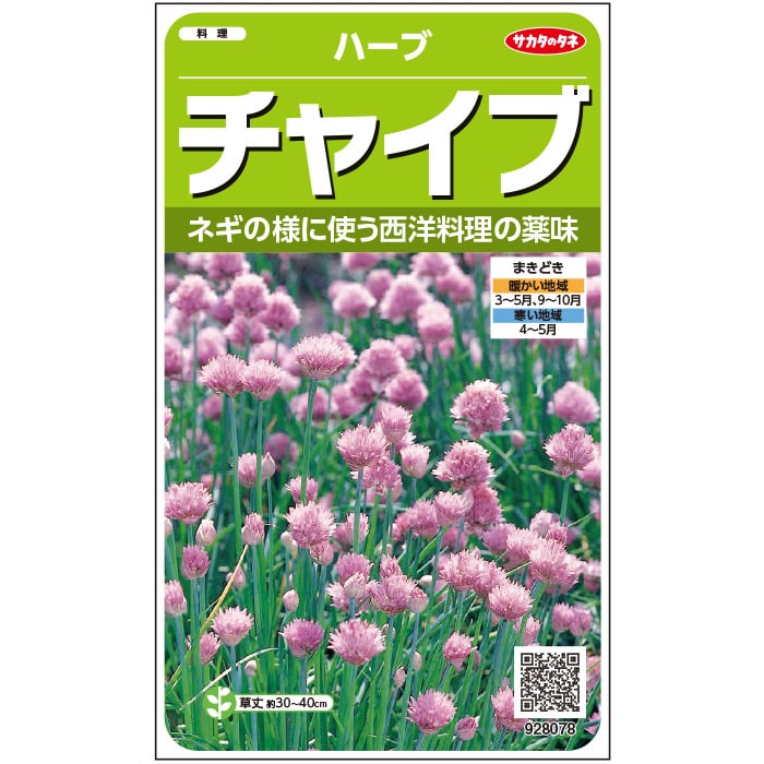 樂天商城 - ※新種12月中旬以降入荷予定ハーブ種【　チャイブ　】実咲小袋　サカタのタネ